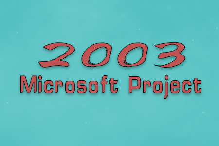 Microsoft Project 2003