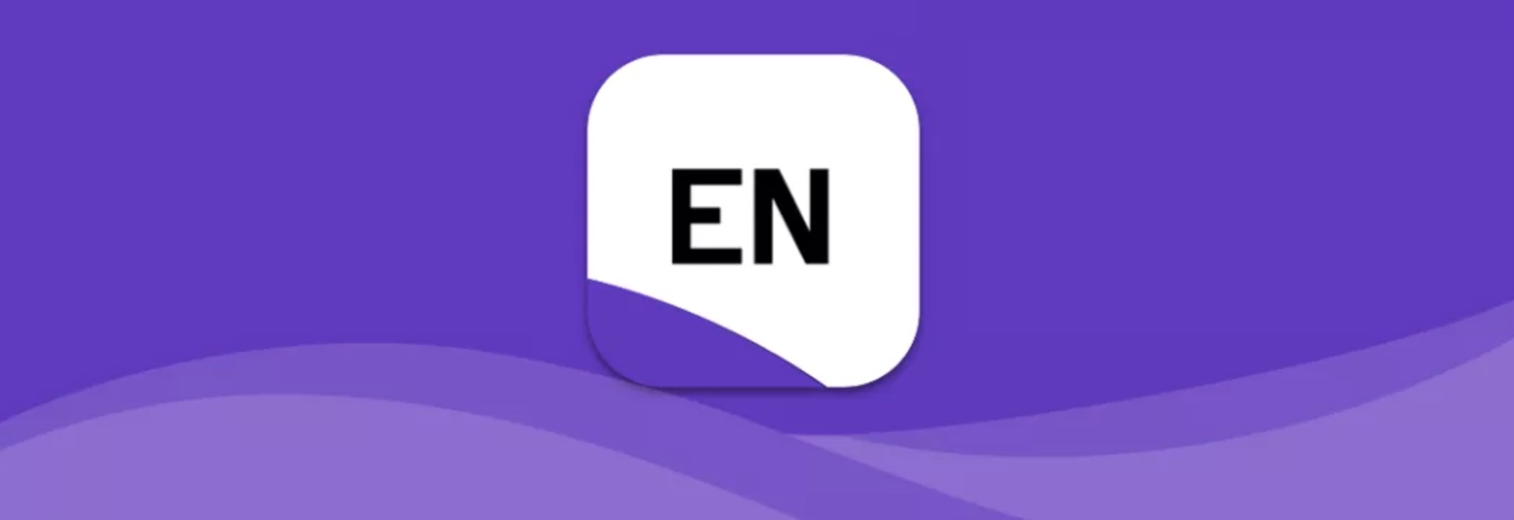 EndNote 20