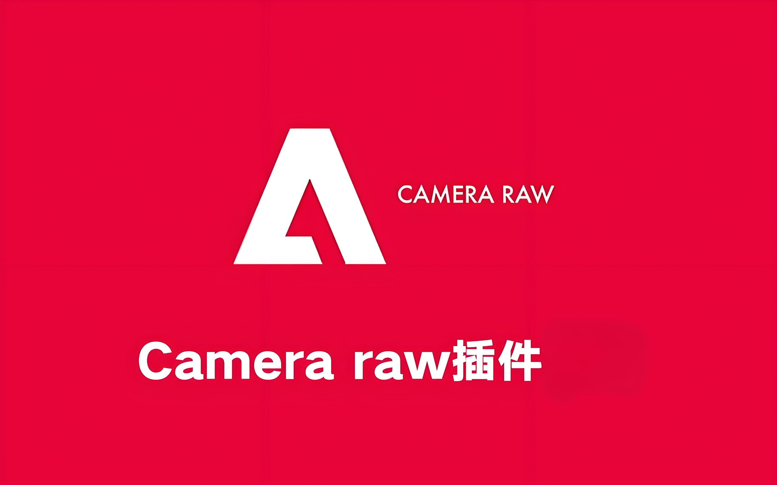 Adobe Camera Raw 16.1 WIN版