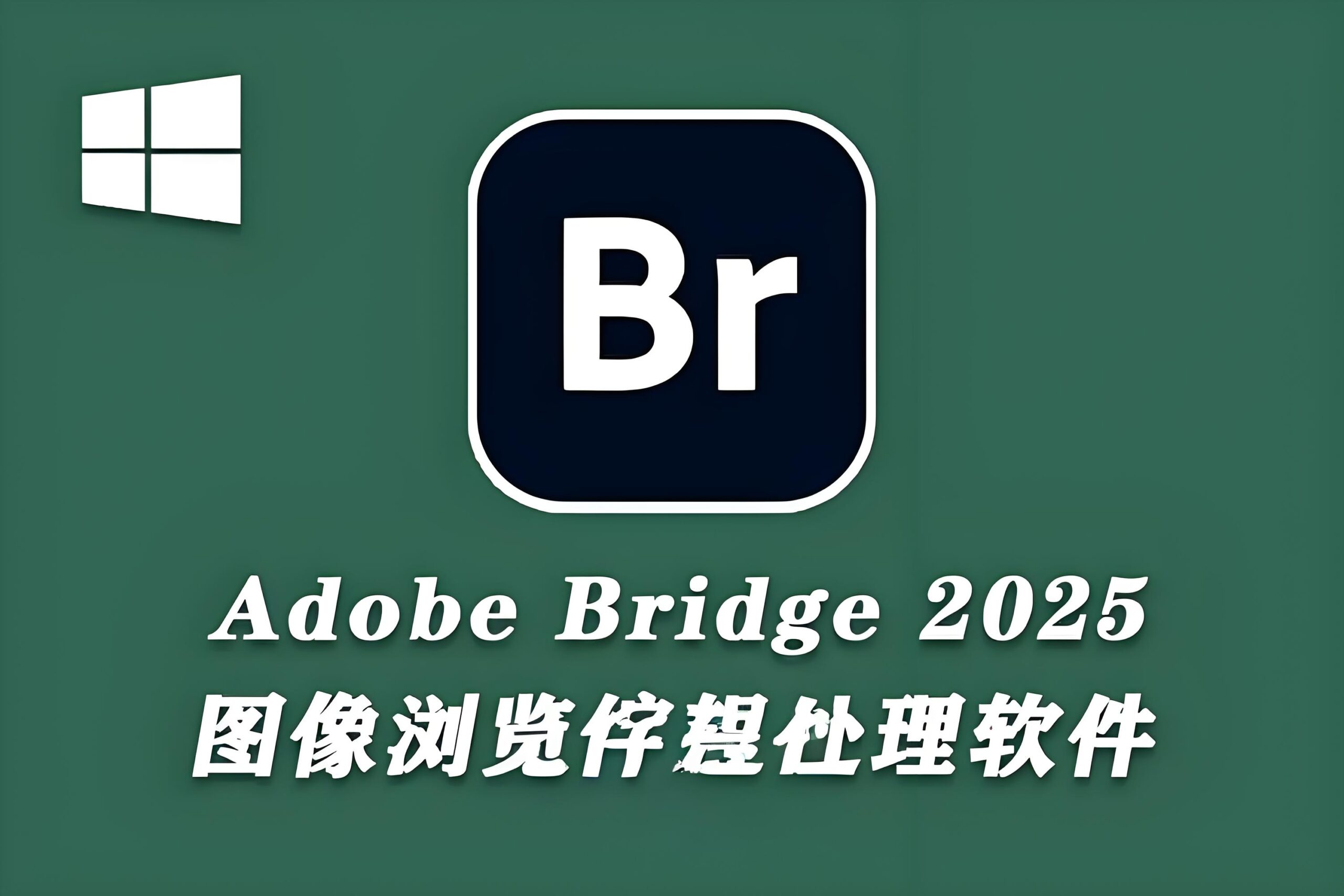 Adobe Bridge 2025 v15.0.3.525中文版软件下载