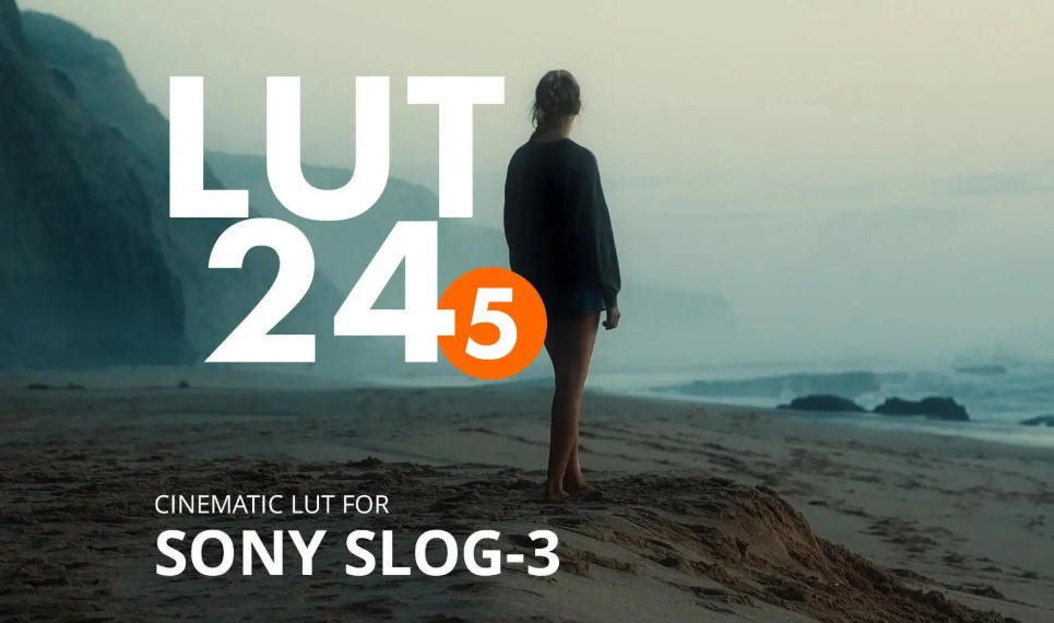 全新热门索尼SLOG-3电影风格调色LUT预设 ROMAN HENSE – LUT 24-5